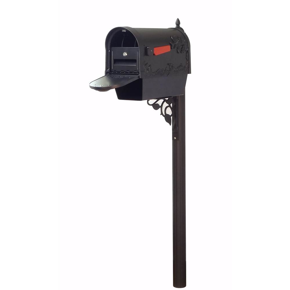 Special Lite Hummingbird Curbside Mailbox with Newspaper Tube, Locking Insert and Albion Mailbox Post